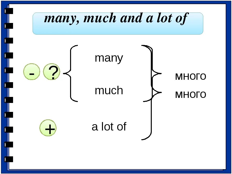 Much many a lot of правило. How much how many a lot of правило. Much many a lot of правила. Many a lot of правило. A lot of worries