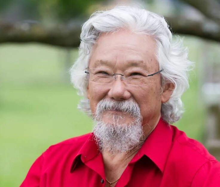 Guide david. David suzuki. дэвид чуаман. dave suzuki. сузуки человек.