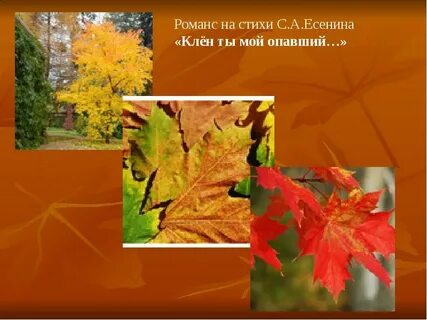 Романс есенина клен