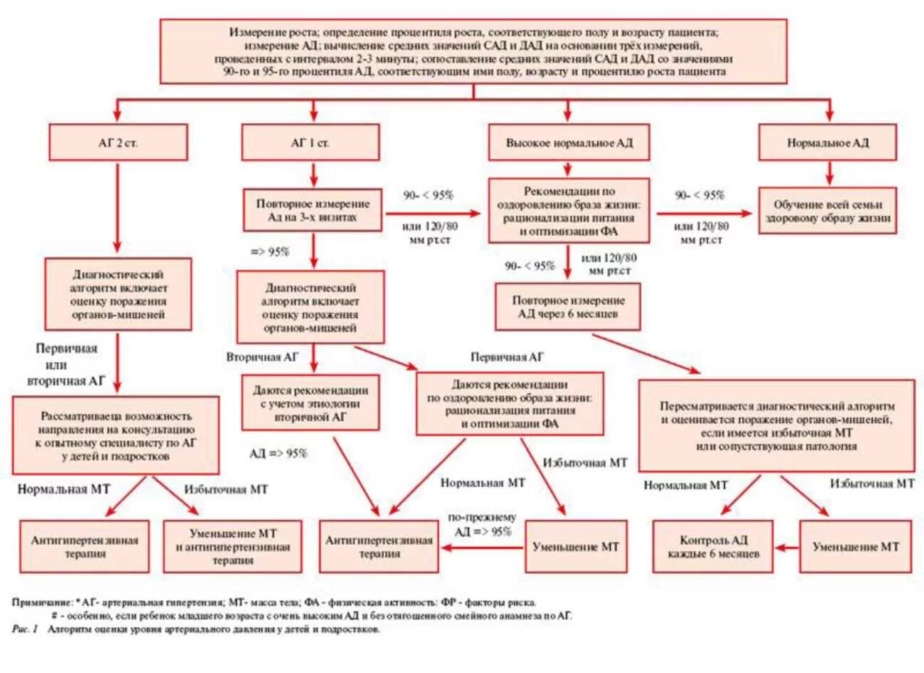 Гипертоническая болезнь и армия. Диагностический алгоритм бронхообструктивного синдрома. Алгоритм диагностики артериальной гипертензии у детей и подростков.. Алгоритм оценки уровня артериального давления у детей. Алгоритм обследования больных с бронхообструктивным синдромом.