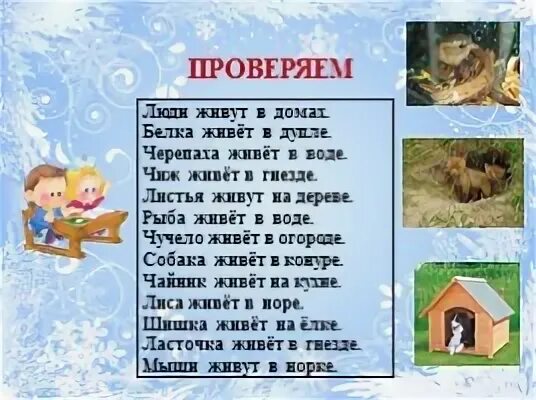 Человек белка черепаха чиж