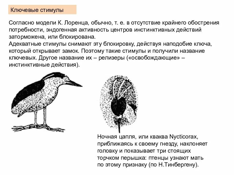 Ключевой стимул. Структура инстинктивного поведенческого акта. Релизеры у животных. Стимул релизер это. Ключевые стимулы.