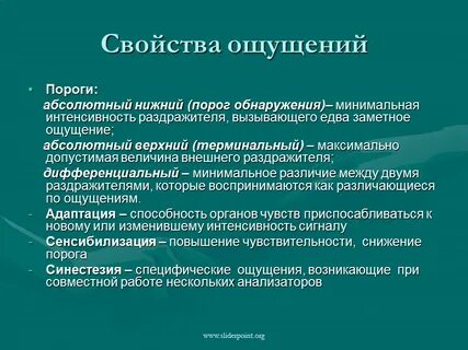 Свойства ощущений кратко