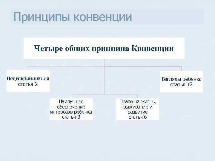 Принципы конвенции оон. Принципы конвенции оон
