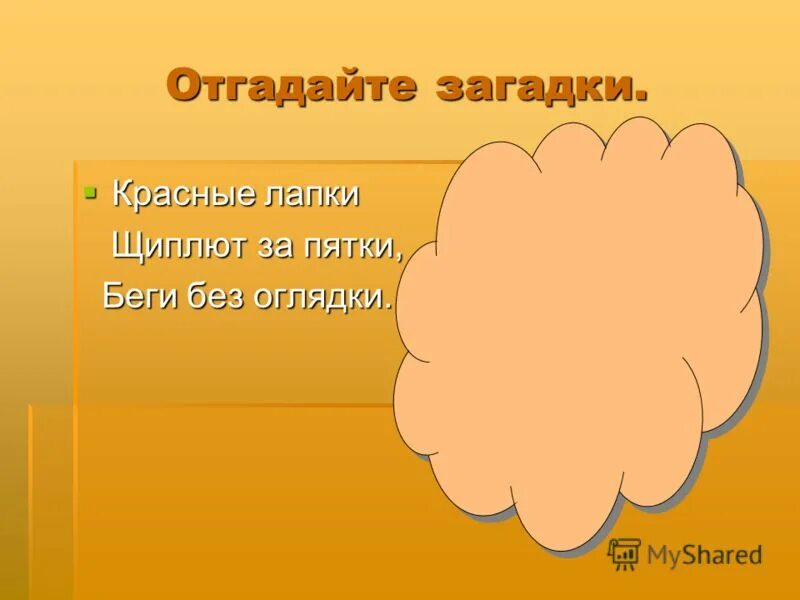 загадки и отгадки. загадка про смородину для детей. найти красные загадки. 40 загадок. грустные загадки.