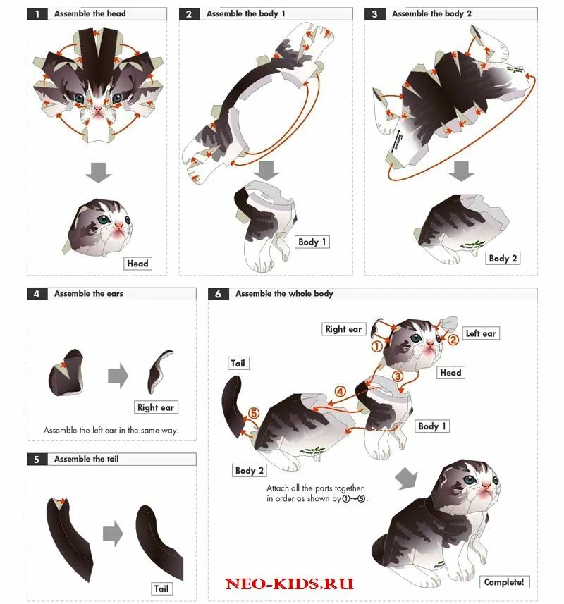 Объемная кошка из бумаги. Модели животных из бумаги. Коты из бумаги схемы. Модели животных из бумаги схемы. Модель кошки из бумаги.