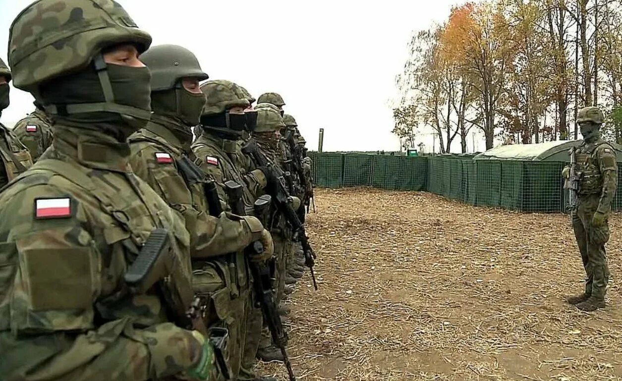 Будут ли вводить войска. Войска польши. солдаты польши. российские войска.