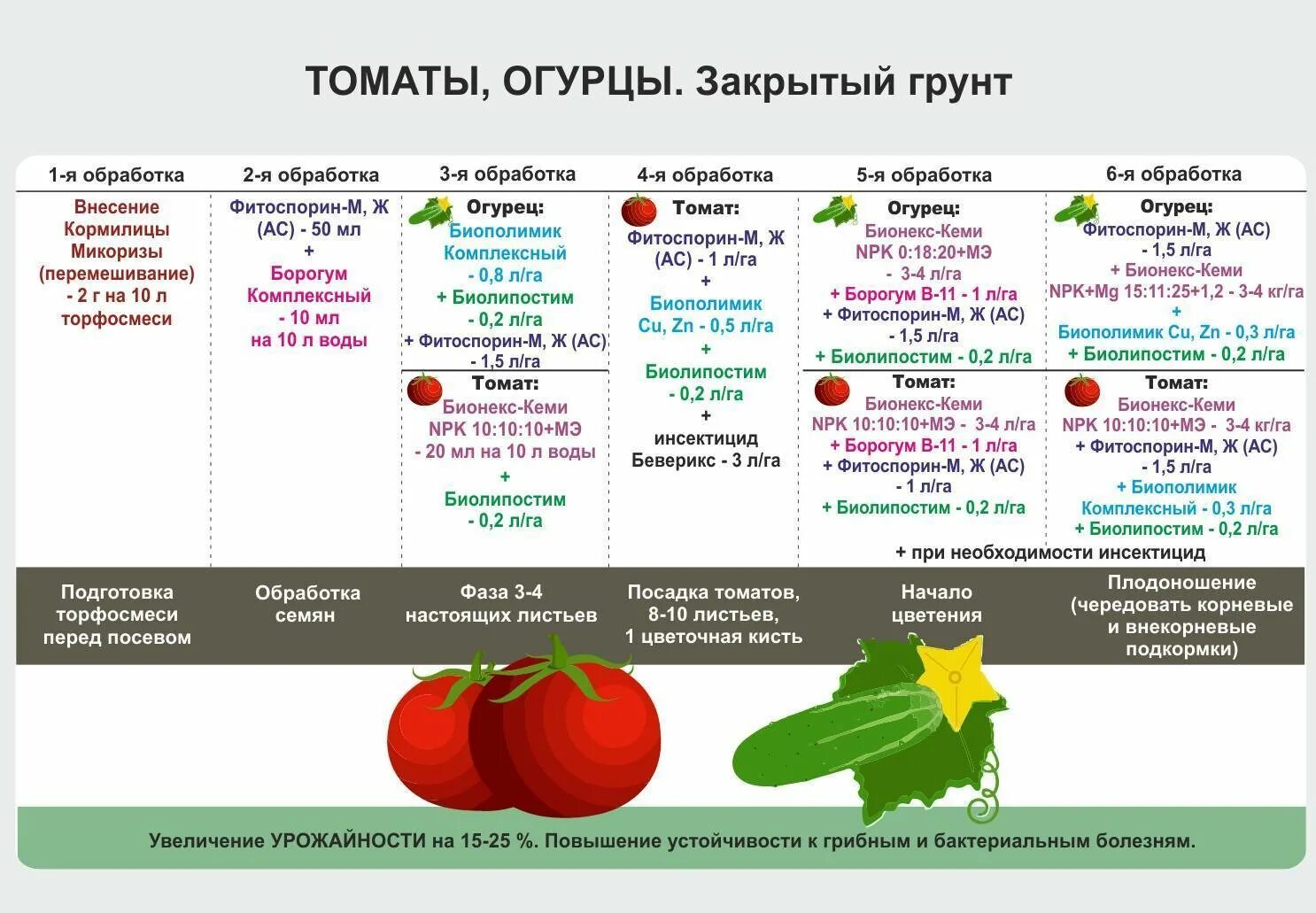 И томатов 1 3 1. Таблица подкормок овощных культур в теплице. удобрения для подкормки помидор и огурцов в теплице из поликарбоната. технологическая карта подкормок томатов для теплиц. карта подкормок для помидоров.