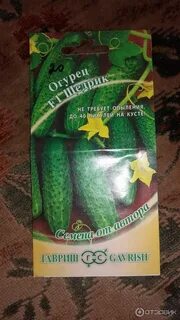 Кустовые огурцы сорта самоопыляемые