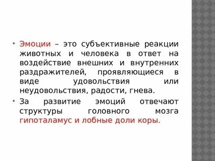 Евгешка дзен навигация по каналу