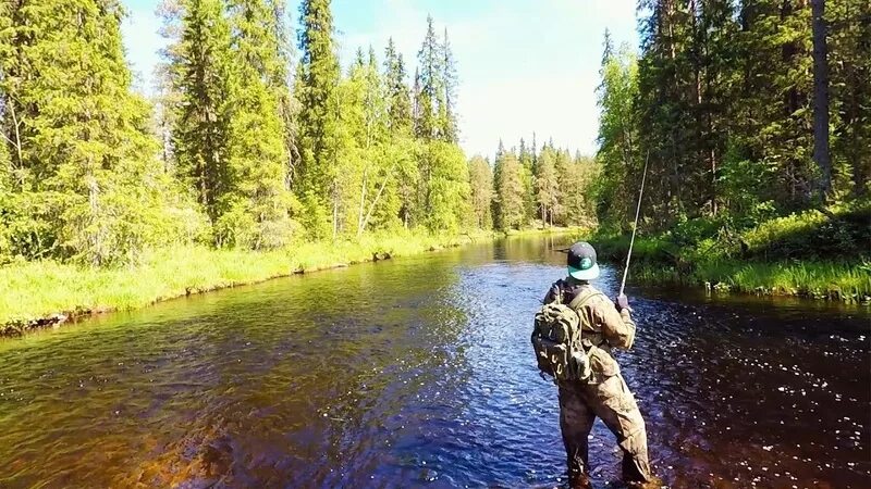 Река тайга рыбалка. Хариус Тайга. Река Иодзыхе Тайга. Рыбалка на Таёжных реках. Рыболовство в тайге.