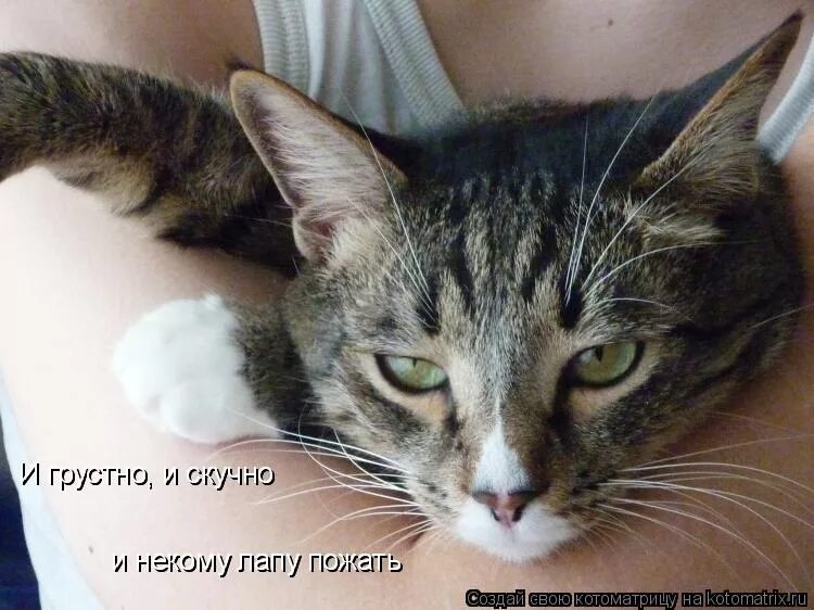 скучно и грустно дома. лермонтов и скучно и грустно стихотворение. михаил юрьевич лермонтов и скучно и грустно. лермонтова и скучно и грустно. скучно и грустно дома.