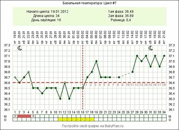Бт 1 передачи. БТ 36.6. Температурный лист базальной температуры. Базальная температура днём 36.6. Беременность базальная температура 37.6.