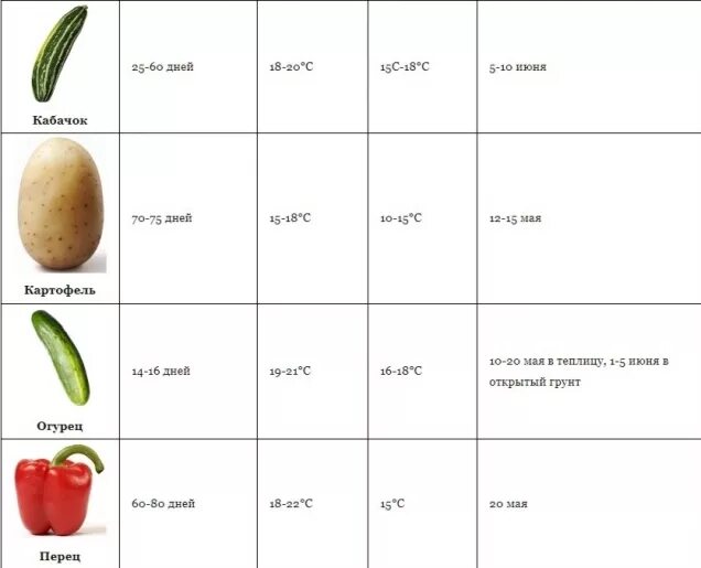 Глубина посева семян томатов. Температура почвы для посадки картофеля. Температура почвы для посадки картофеля весной таблица. Температура почвы для высадки рассады овощей. Температура почвы для посадки огородных культур.