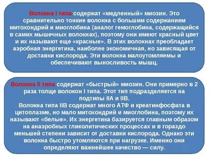 Волокна 1 типа