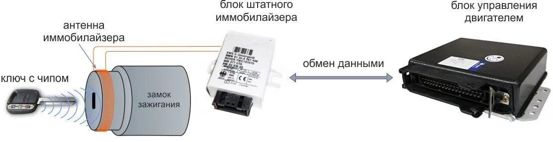 Обход иммобилайзера Leopard ls9010. Устройство антенны иммобилайзера. Принцип действия иммобилайзера. Обходчик иммобилайзера для чипа. Машина не видит ключ иммобилайзер