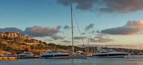Golden sails