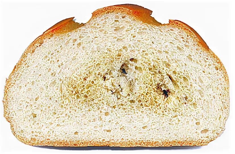 Картофельная болезнь хлеба. Картофельная палочка в хлебе. Хлеб пораженный картофельной болезнью. Меловая болезнь хлеба. Картофельная болезнь хлеба признаки