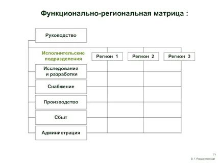 Функционально матричная