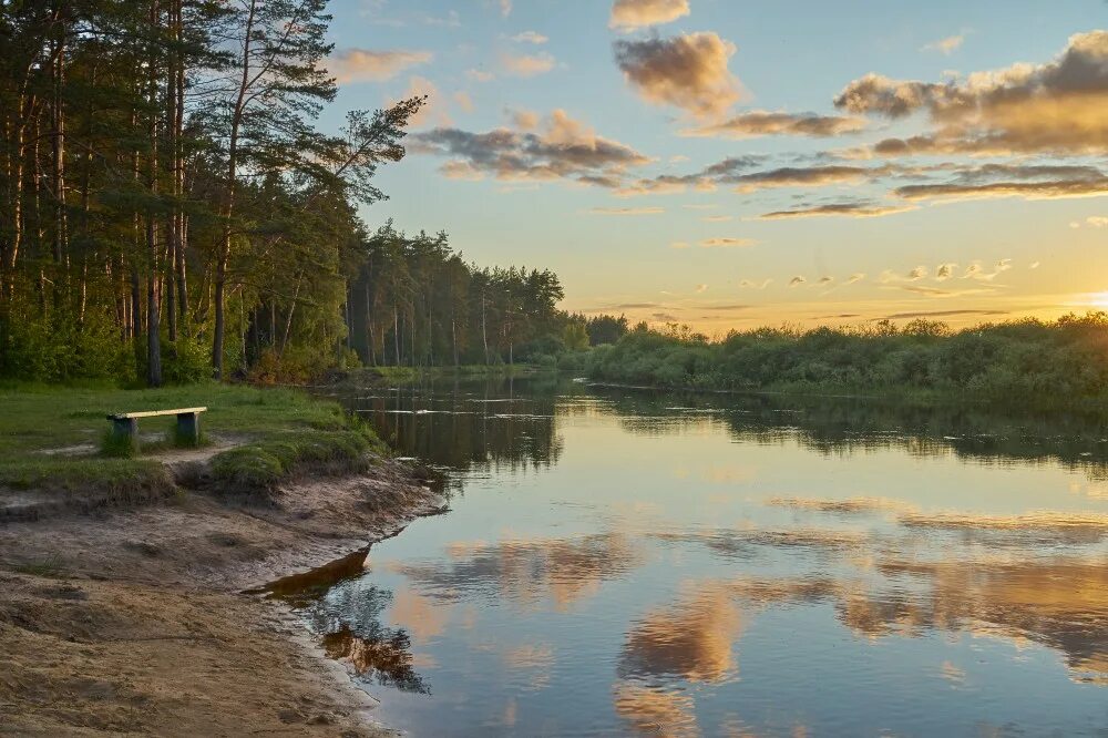 Мещера клепики. Мещера полушкино. мещера полушкино клепиковский. лагерь мещера рязанская область. мещера рязанская область клепиковский район.