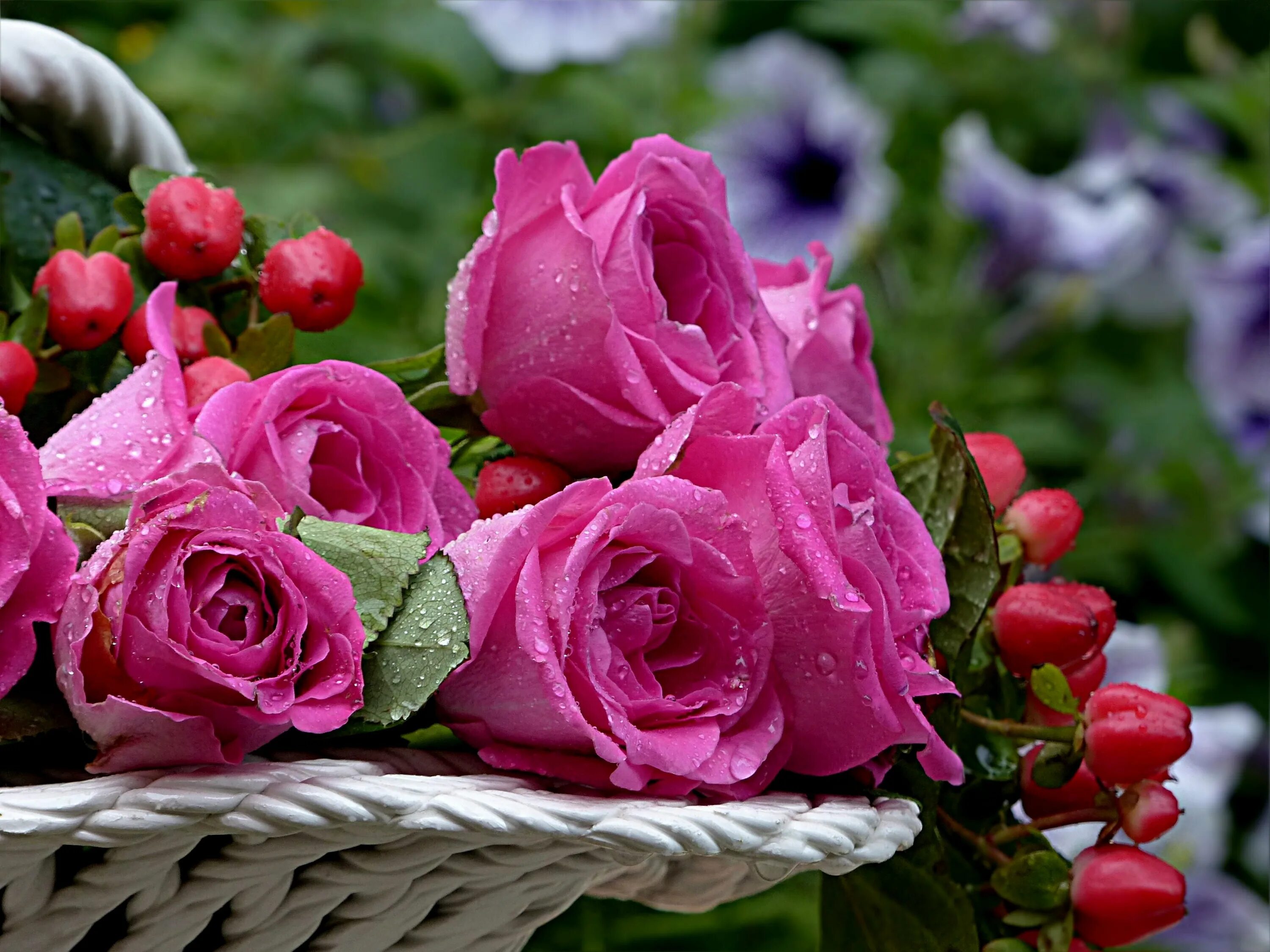 Видео открытка. Красивые розы для хорошего настроения. Чудесные розы. Красочное настроение розы. Добрым субботним утром с розами.
