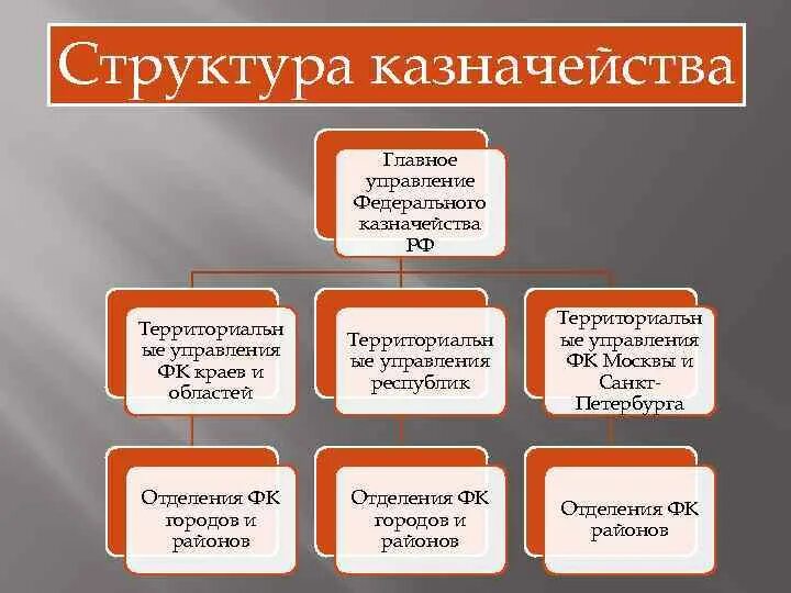 Структура федерального казначейства. Структура казначейства в организации. Казначейство Франции структура.