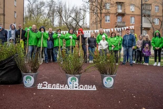 Зеленая волна волгоград лагерь. Озеленение волонтерство. Дол зеленая волна Волгоградская область. Лагерь зелёная волна Волгоградская область.