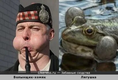 Как надуть лягушку через соломинку