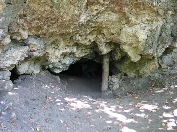 Презентация Самарская Лука