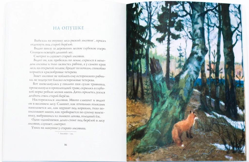 У старой сосны что хотел сказать автор. Рассказ Соколова Микитова русский лес.