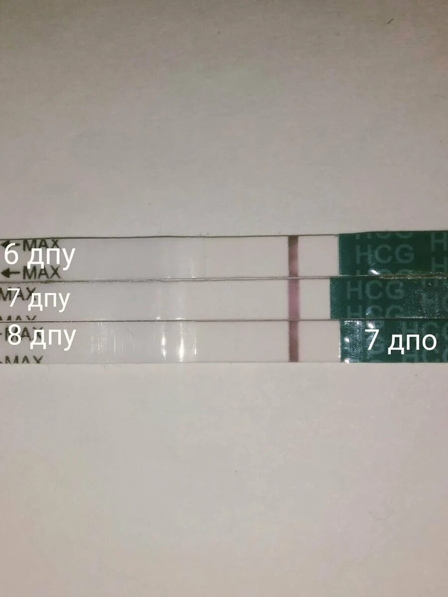 8 ДПУ Овитрель. 6 ДПУ ХГЧ 5000. 7 ДПУ Овитрель тест. После укола ХГЧ.