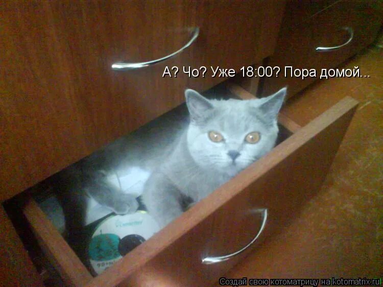 пора домой предложение