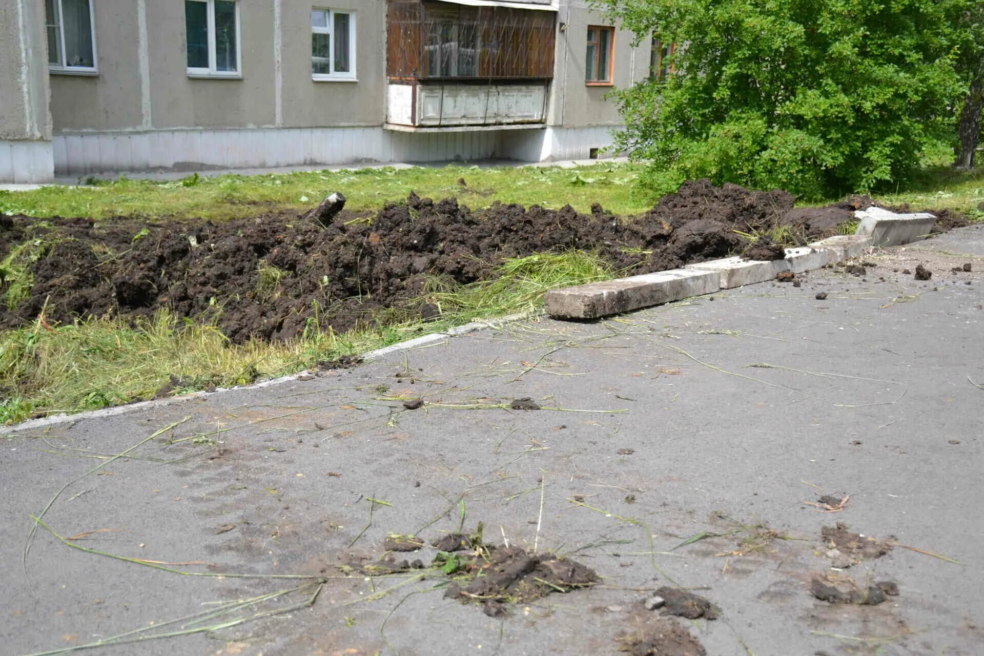 Лес тех 54. Кратер от ядерного взрыва хиросима. Выжженное поле. Конец света. Конец света в реальной жизни.