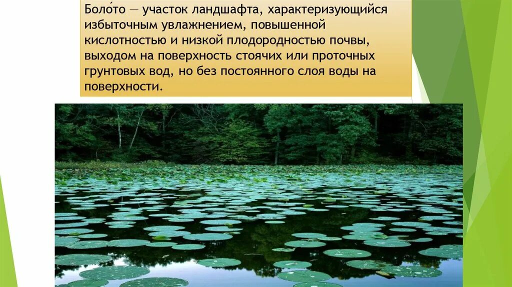 Увлажнение избыточное много болот озер. Болото презентация. Типы болот. Избыточное увлажнение почвы. Избыточное увлажнение воды.