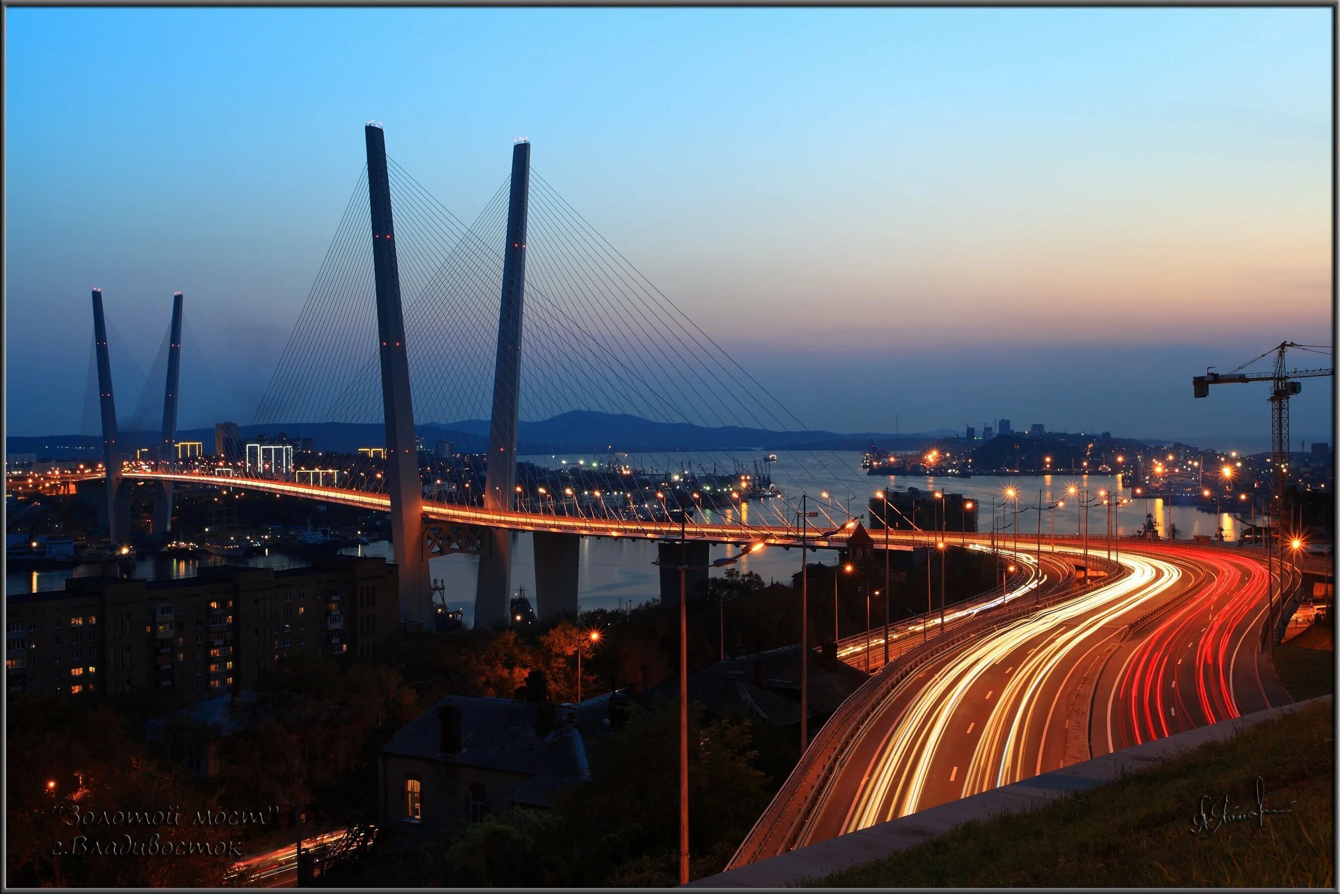 вантовый мост бухта золотой рог. мост золотой рог владивосток. ночной владивосток мост золотой рог. золотой вантовый мост во владивостоке. мост через бухту золотой рог во владивостоке.