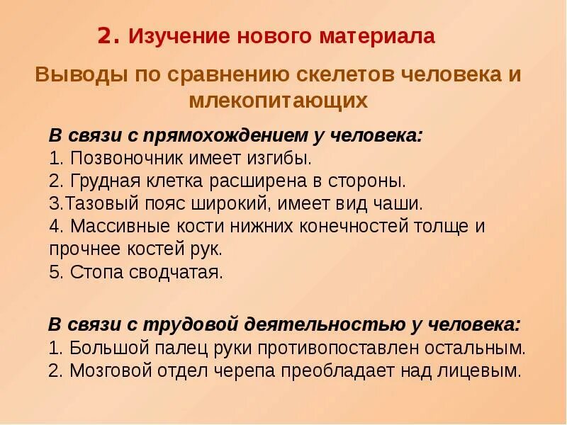 С прямохождением у человека появилась. Всвязи с прямохождению. Изменения в скелете человека в связи с прямохождением. В связи с прямохождением. Особенности строения человека в связи с прямохождением.