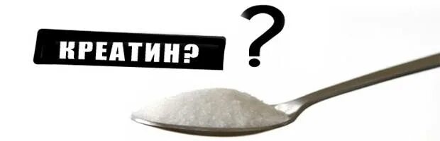 5 грамм креатина. Креатин maxler мерная ложка. Мерная ложка для креатина. Maxler creatine monohydrate. Сколько грамм ложка в креатине.