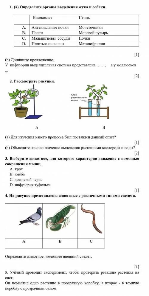 Соч по биологии 7 класс. Биология 7 класс 3 четверть. Соч по биологии 7 класс 3 четверть. Соч по биологии 7 класс за 3 четверть ответы. Соч по биологии 7 класс 1 четверть.