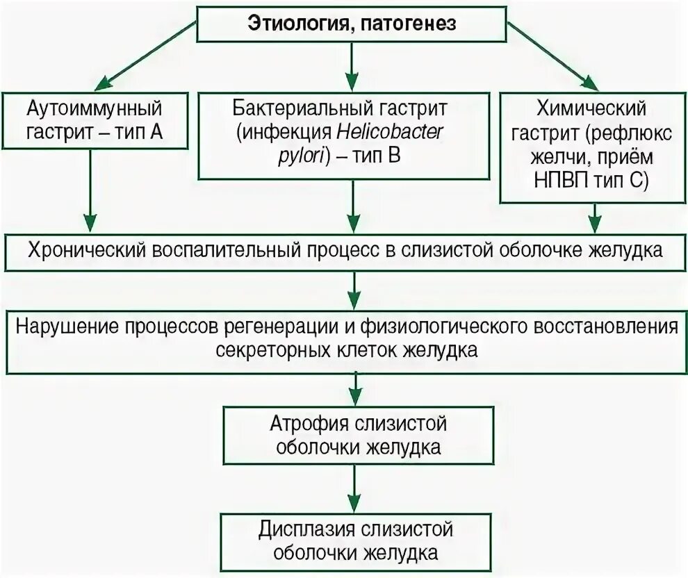 Механизм развития острого гастрита. Хронический гастрит патогенез схема. Патогенез хронического гастрита типа в. Хронический гастрит этиология патогенез. Причина гастрита б