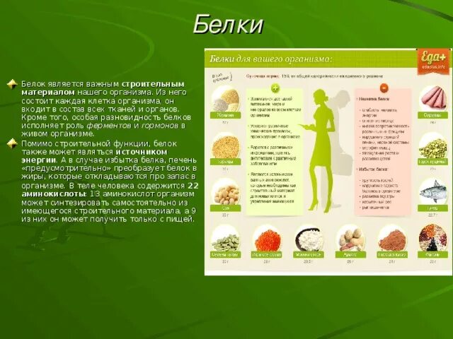 Зачем нужен белок организму. Белки в организме. Польза белка для организма человека. Какие белки в организме человека. Виды белков в организме человека.