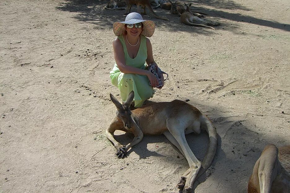 обычный день в австралии. обычное утро в австралии. пожар в австралии в 2020 году. остров кенгуру в австралии. туристы в австралии.