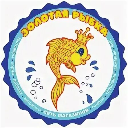 Гр золотые рыбки. Рыбка риукин красный. Shooting a goldfish. Золотая рыбка в аквариуме. Стайка золотых рыбок вектор.