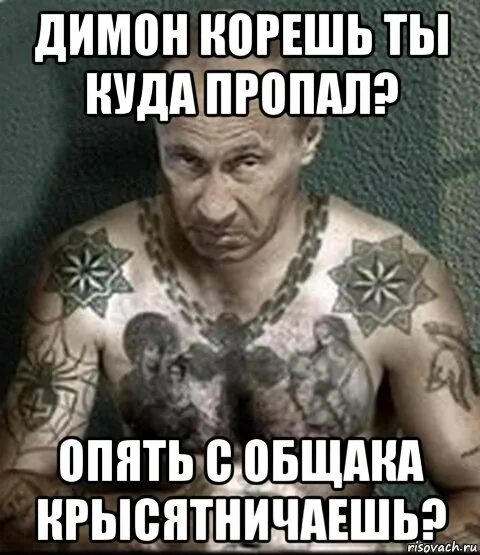 Приколы про димона картинки. Почему димон. Димон медведев. Димон мем. Димон смешные.