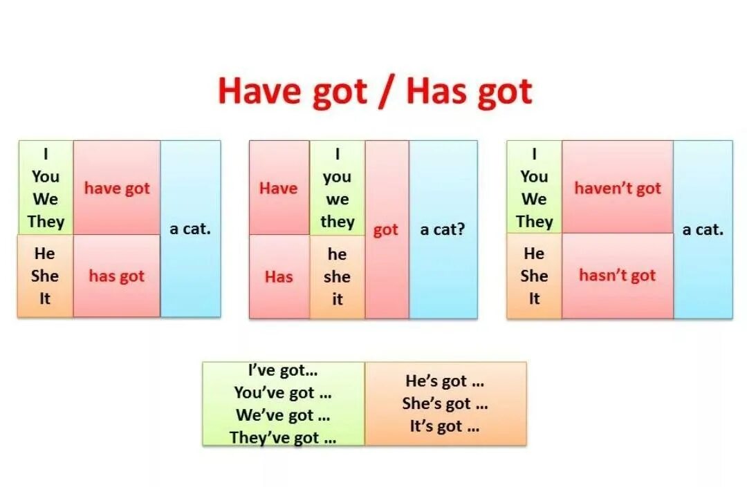 He got many friends. Have got has got таблица. Английский язык have got и has got. Правило по английскому языку 3 класс have got has got. Verb to have got таблица.