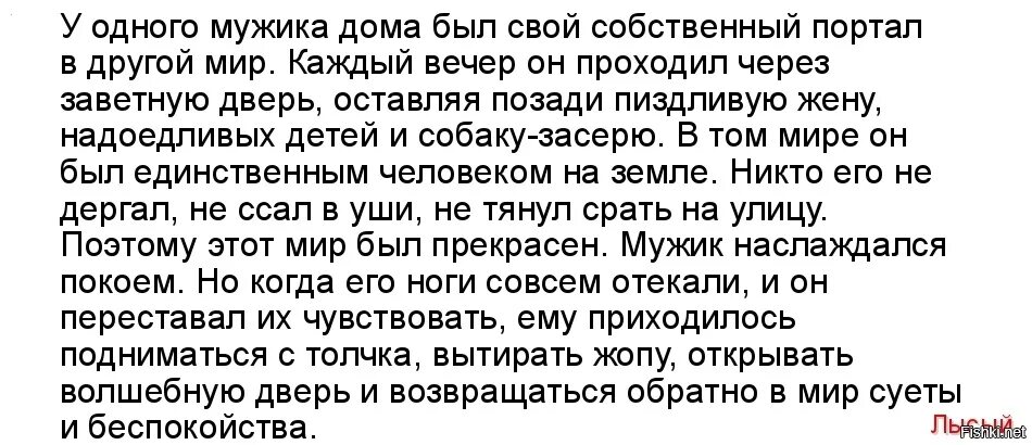 Анекдот про мужчину и туалет. У одного мужика был портал в другой мир собственный. Анекдот про мужика и унитаз. Анекдот про туалет и мужика. Рассказы муж жена собака