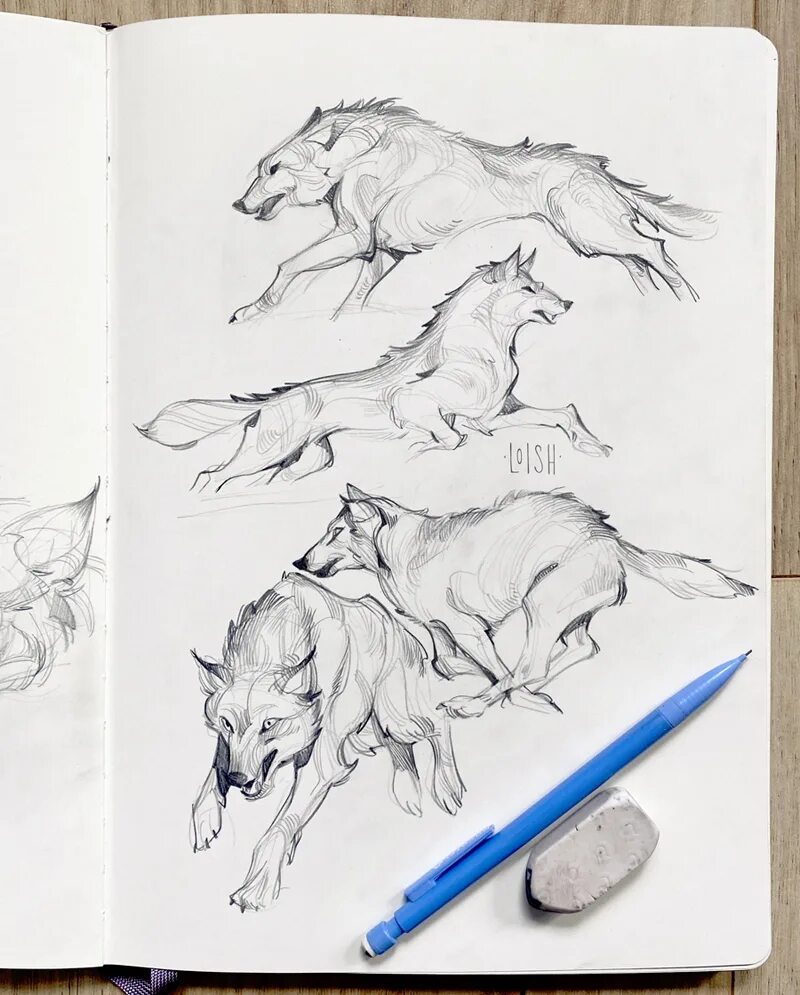 волк скетч. волк арт маркерами. волк скетч. волк набросок. волк скетч.