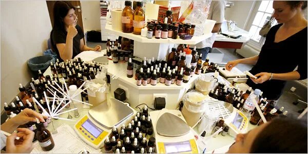 обучение парфюмерии