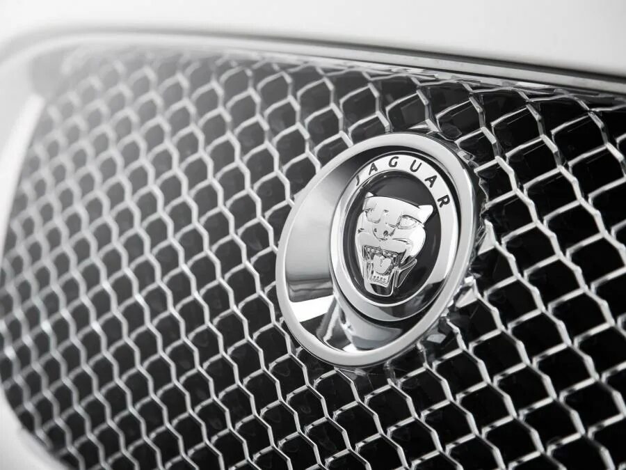 Jaguar Brand Logo Car Symbol With Name White Design British Automobile Vector Il