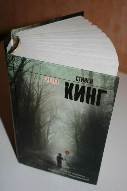 Цикл книг стивена кинга кладбище домашних животных. Читать книгу стивена. Стивен кинг. Стивен кинг кладбище домашних животных. Худеющий стивен кинг иллюстрации.