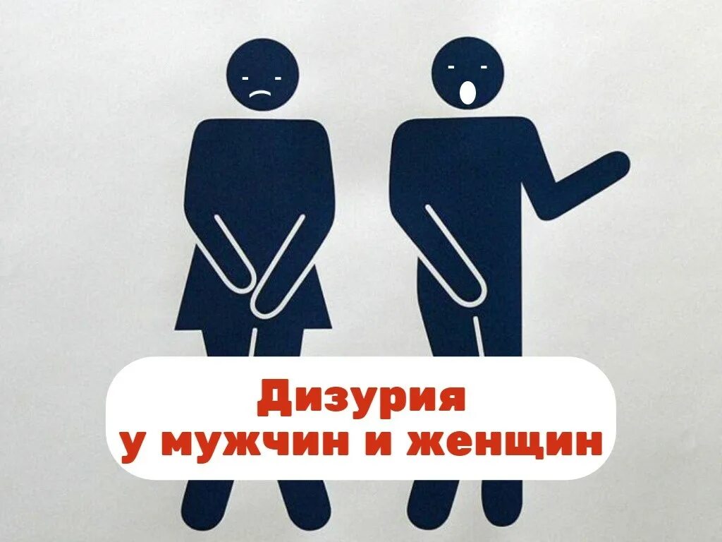 Диурез. Дизурия олигурия. Дизурия олигурия. Полиурия олигурия анурия. Дизурия олигурия.